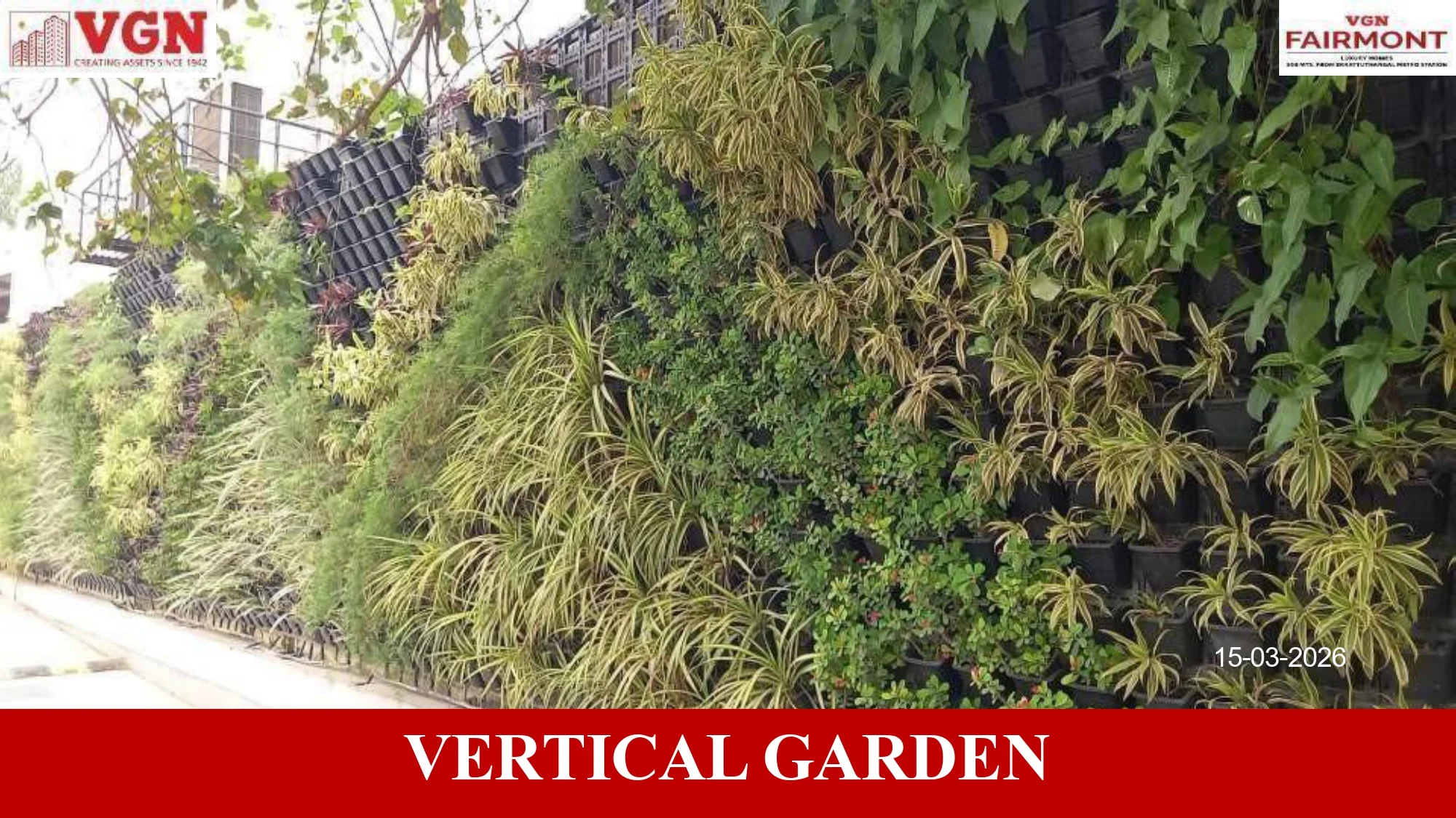 vgn fairmont - vertical garden 